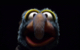 Benutzeravatar